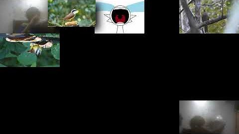 Working On A New Sparta Remix