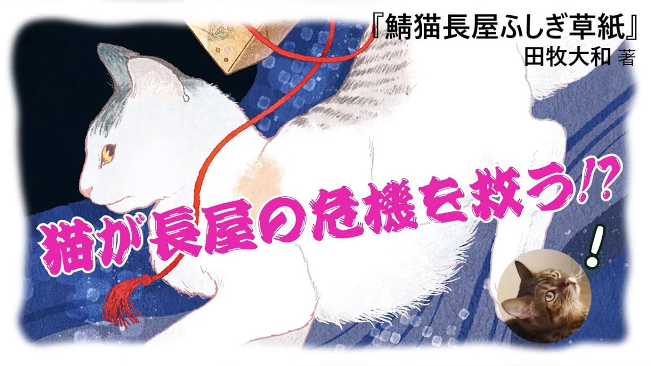 鯖猫長屋ふしぎ草紙（四） | 書籍 | PHP研究所