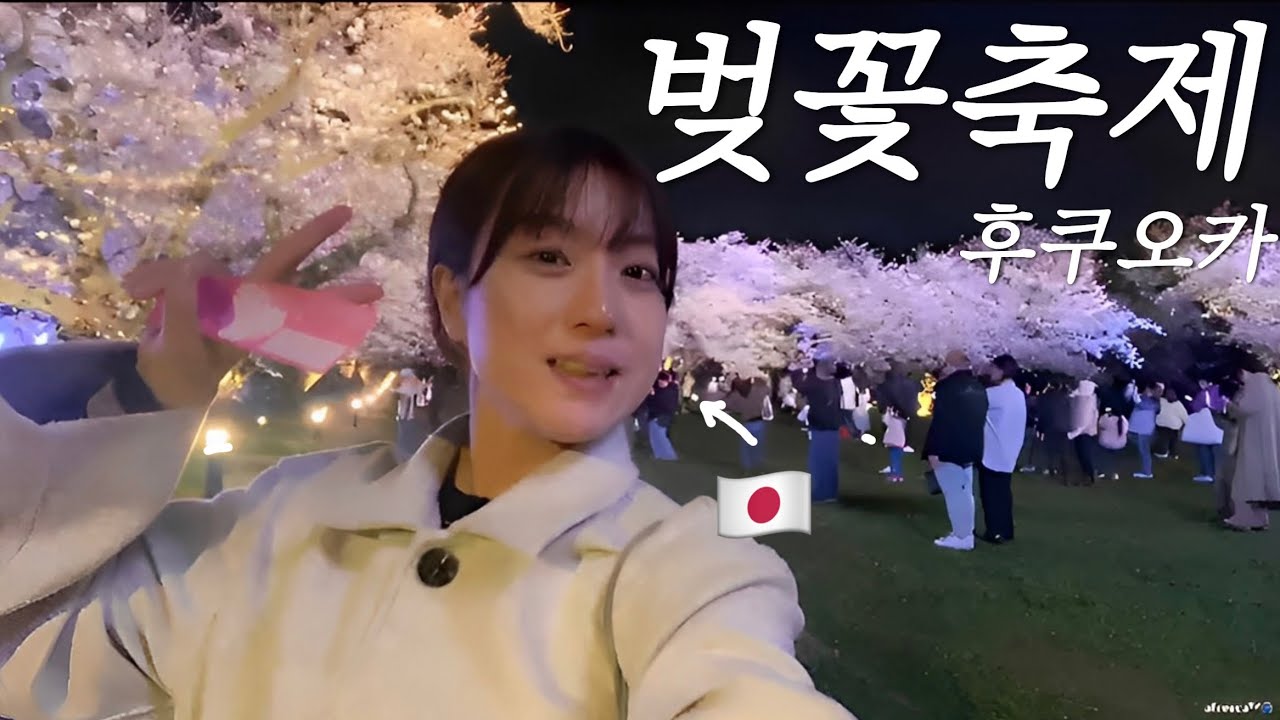 벚꽃은 여기가 명소다!! 일본 후쿠오카 벚꽃축제 마이즈루공원 🌸
