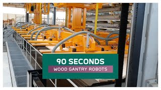 90 Seconds of Wood Gantry Robots