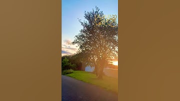 إنَّ مَعَ العُسْرِ يُسْراً   | القارئ : براء مسعود💛