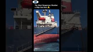 Ships Fighting Massive Waves in Brutal Seas 🌊 #terrifying #extreme #shorts