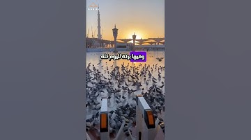 أذكار الصباح | راحة وبركة في يومك 🌤️