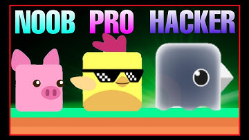 NOOB VS PRO VS HACKER-Stacky Bird
