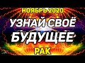 РАК. УЗНАЙ СВОЕ БУДУЩЕЕ! НОЯБРЬ 2020. ЭТО СКОРО СЛУЧИТСЯ В ТВОЕЙ ЖИЗНИ! САМОЕ ТОЧНОЕ ПРЕДСКАЗАНИЕ!