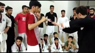 Bruce Lees Pak Jkd Self Defense With Trappling To Grappling Techniques