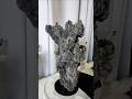 Chrysanthemum Quartz &amp; Green Fluorite 4lb Crystal Symbiosis | Optimism | Joy | Transformation