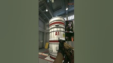 ohnepixel blessed this video #twitch #counterstrike