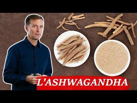 Les bienfaits de l'Ashwagandha pour les glandes surrénales et autres l Dr Eric Berg