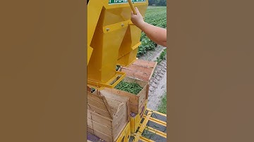 Oxbo pixall picking green beans