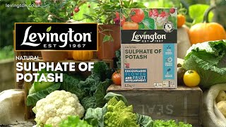 How to use Levington Natural Sulphate of Potash for flowers and fruit plants