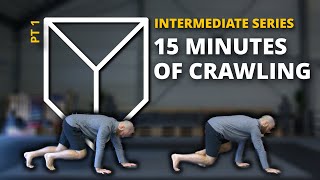 Animal Flow Workout - 15 Minute Bodyweight Workout (Follow Along)