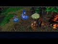 Warcraft 3  reign of chaos fr n4 les ravages du flau original