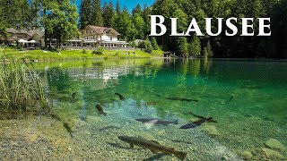 The Blausee 4K - One Of Switzerland’s Loveliest Mountain Lakes - Breathtaking Places On Earth