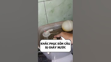 Một nguyên nhân khiến bồn cầu bị chảy nước và cách khắc phục tại nhà đơn giản