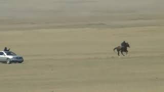 :   . Song of horse.   . ( , , lyrics)