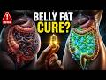 How Probiotics Help You Lose Belly Fat Fast (Hidden Weight Loss Secret for Weight Management)
