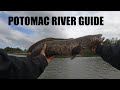 Northern Snakehead Fishing - Potomac River Snakehead Guide