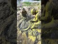 joking while looking for gold