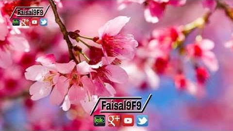 سورة الزخرف من الايه 67 الى 73 تلاوة القارئ محمود صلاح الدين
