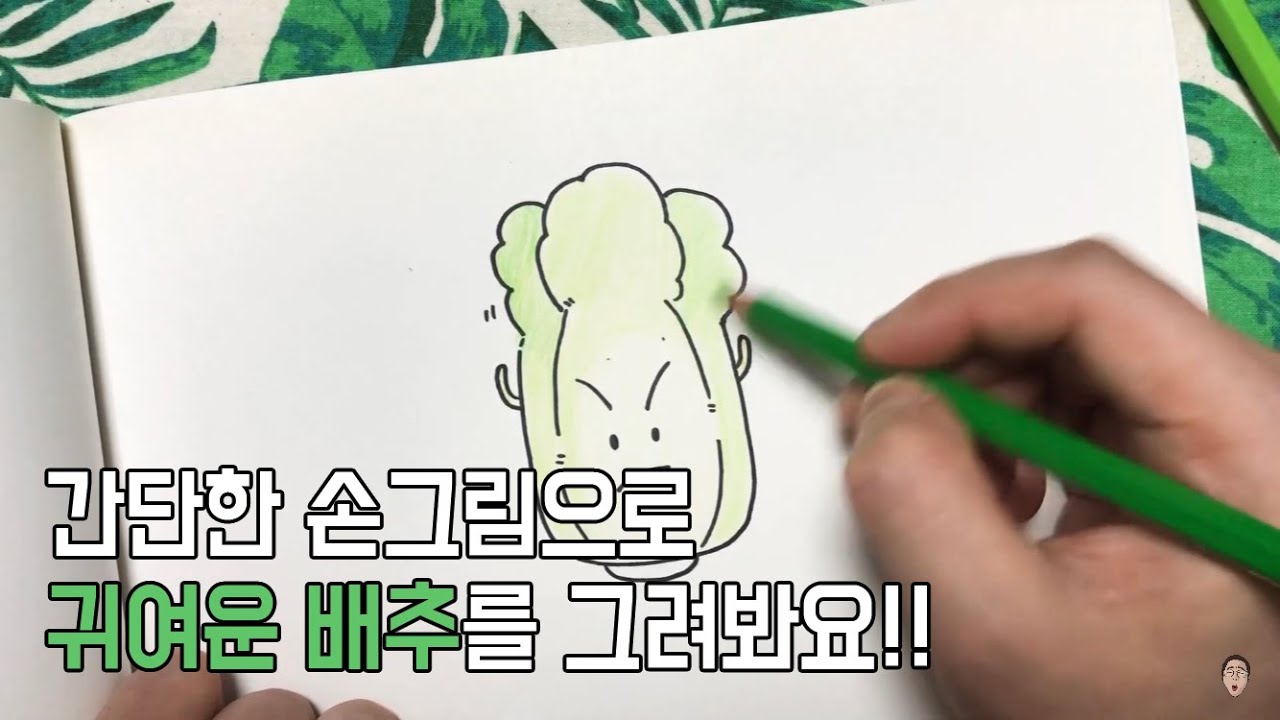배추 그리기 - cabbage drawing | 손그림 | 색연필 colorpencil [그림친구체끼] - YouTube