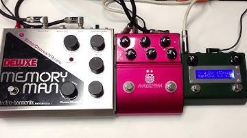 Electro Harmonix Deluxe Memory Man vs Analog Man ARDX20 Amazeo Analog Delay