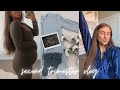 second trimester vlog (baby haul &amp; nursery decorating!) ☁️✨