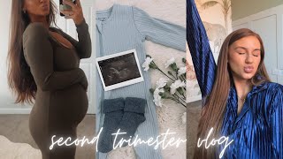 second trimester vlog (baby haul & nursery decorating!) ☁✨