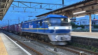5075レ　EF210-368牽引コンテナ貨物列車　編成前半にSUZUKI積載！豊橋を通過！