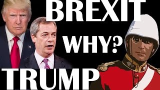 The Reasons behind Trump and Brexit