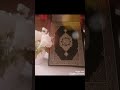 سورة الفلق بصوت الشيخ محمد صديق المنشاوي بدون اعلانات 