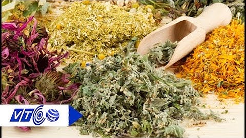 Chữa sỏi thận bằng thuốc nam an toàn, hết sỏi | VTC