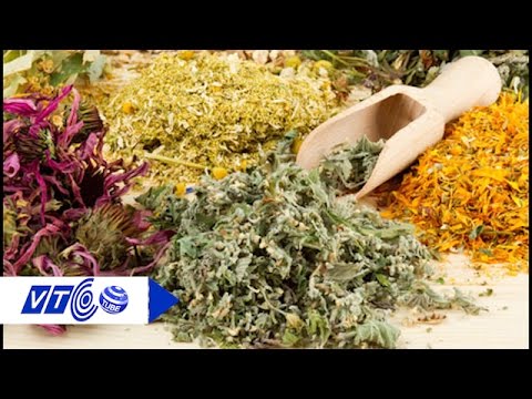 Bình Thuận: Khóa học Cao đẳng Dược sĩ cấp tốc - Cơ hội việc làm rộng mở