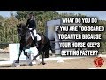 TOO SCARED TO CANTER BECAUSE YOUR HORSE KEEPS GETTING FASTER? - FearLESS Friday Episode 74