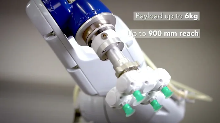 Epson VT6L Industrial Label Applicator & Placement Robot