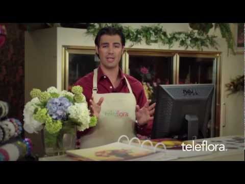 Teleflora's Dove POS Tutorial Part 10: Starting Your Day