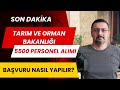 5500 PERSONEL ALIMI! TARIM VE ORMAN BAKANLIĞI 2024 BAŞVURUSU NASIL YAPILIR? kpss tercih kılavuzu