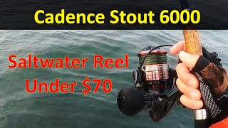 Cadence Stout 6000 Saltwater Fishing Reel (Saltwater Reel Under