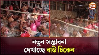 মাংস উৎপাদনে ব্রয়লারকে হার মানাচ্ছে বাউ চিকেন | BAU Chicken | Meet Produce | Channel 24