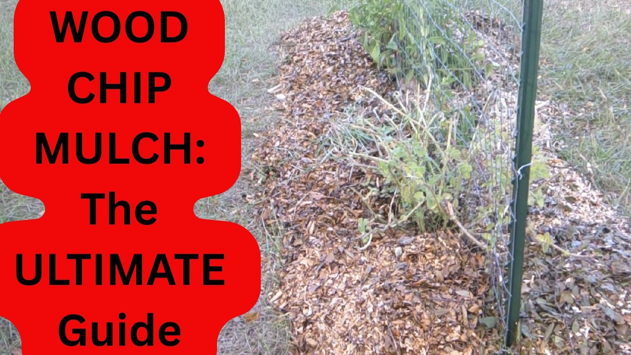 Wood Chip Mulch: EVERYTHING You Need to Know! Benefits, Sources & Setup | Suburban Life Permaculture