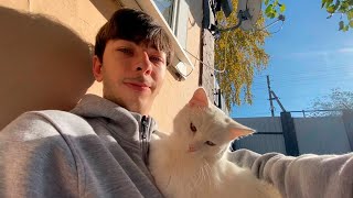 картинка: Сидим на лавочке и греемся на солнце вместе с котёнком Снежком