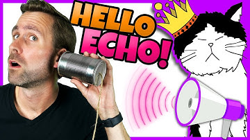 🔊 Hello Echo! | Science Learning Song for Kids | Mooseclumps