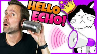 🔊 Hello Echo! | Science Learning Song for Kids | Mooseclumps