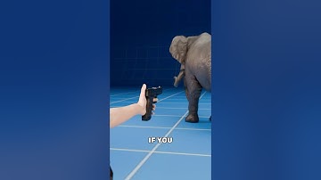 What if you shoot a bullet at the elephant? 🐘