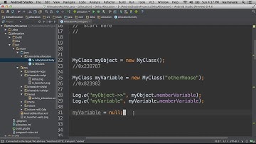 009 Garbage Collection and null