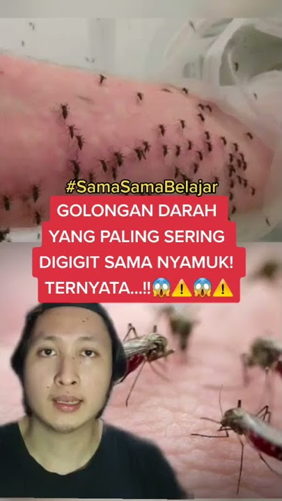 GOLONGAN DARAH YANG PALING SERING DIGIGIT NYAMUK‼️ | TikTok Yosua Andre #lucu #ngakak #humor #shorts