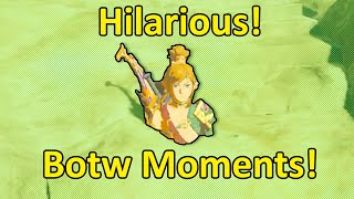 Hilarious Botw Moments