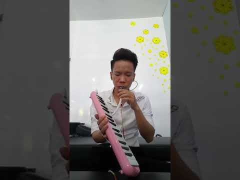 Forever - Mãi Mãi ( Lam Trường ) - Ahn Jae Wook - Melodica cover by Thee Traan ( 0906.226.313 )