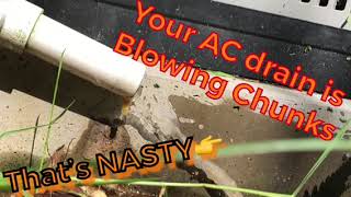 Blowing Chunks