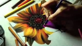 Featured image of post Realistic Flower Drawing In Pencil